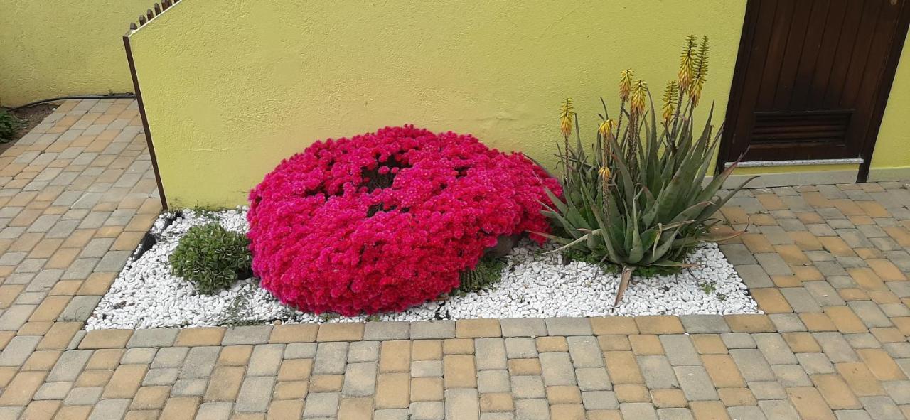 Nonna Defenza Apartment Teulada Luaran gambar